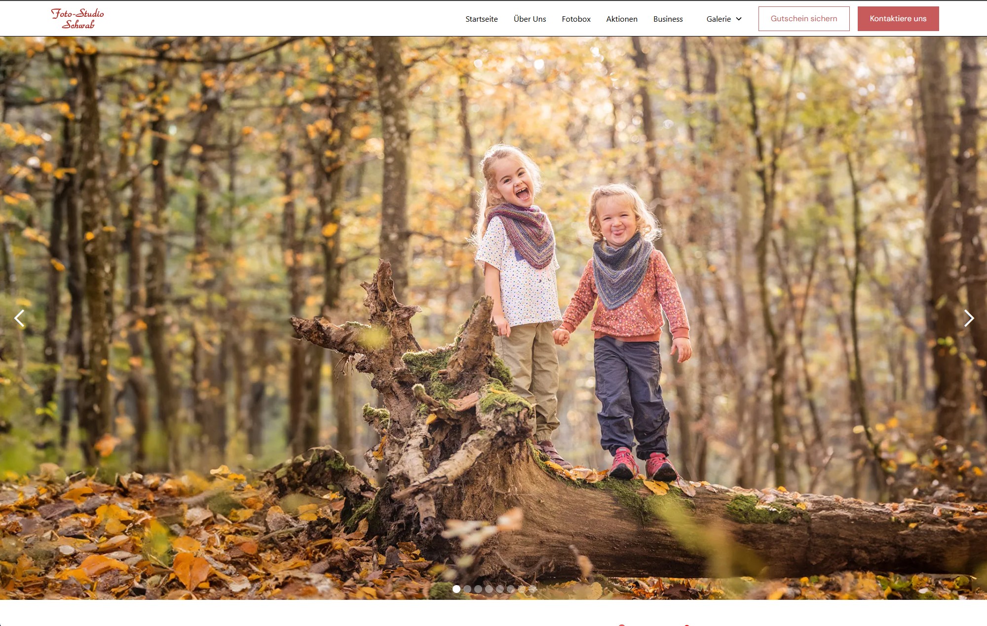 Project visualization